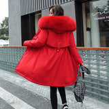 Load image into Gallery viewer, Korean version of long and medium length big fur collar with fleece jacket cotton jacket for women&#39;s fashion